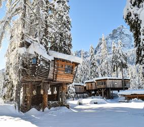 Casa sull'albero in inverno