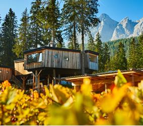 Casa sull'albero fuori