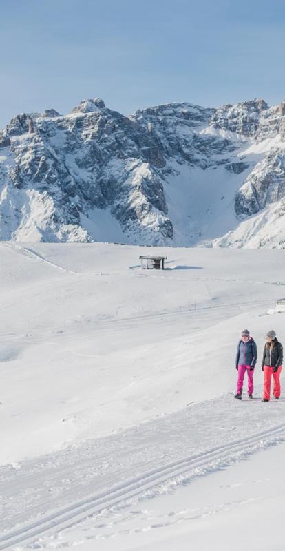 Passeggiata sulla neve