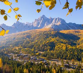 Herbst Panorama