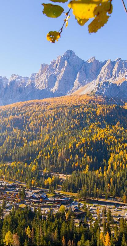 Herbst Panorama